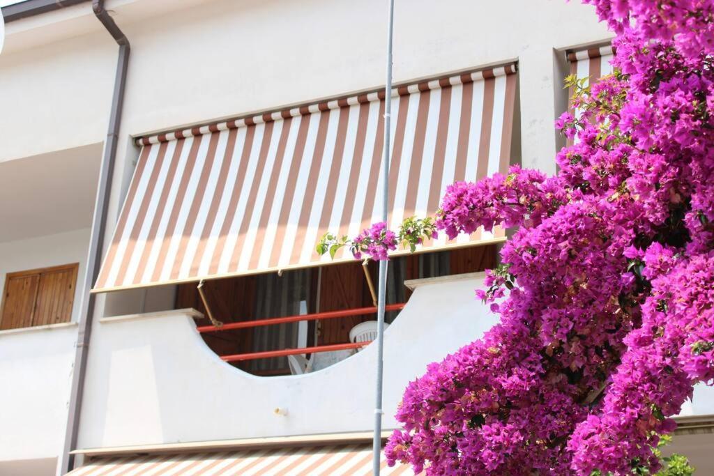 Ferienwohnung Roma A Un Passo E Il Mare In Casa Marina di Cerveteri Exterior foto